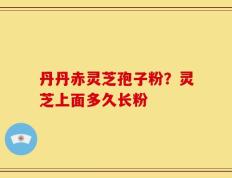 丹丹赤灵芝孢子粉？灵芝上面多久长粉