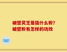 破壁灵芝是指什么粉？破壁粉有怎样的功效