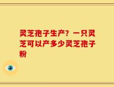 灵芝孢子生产？一只灵芝可以产多少灵芝孢子粉