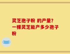 灵芝孢子粉 的产量？一棵灵芝能产多少孢子粉