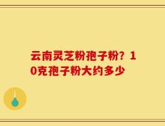 云南灵芝粉孢子粉？10克孢子粉大约多少