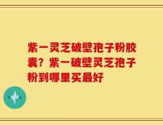 紫一灵芝破壁孢子粉胶囊？紫一破壁灵芝孢子粉到哪里买最好