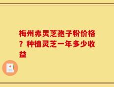 梅州赤灵芝孢子粉价格？种植灵芝一年多少收益