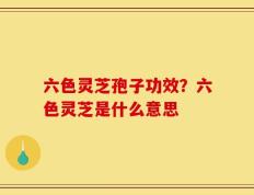 六色灵芝孢子功效？六色灵芝是什么意思