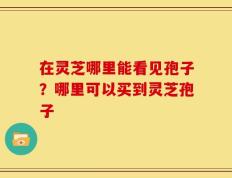在灵芝哪里能看见孢子？哪里可以买到灵芝孢子