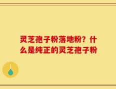 灵芝孢子粉落地粉？什么是纯正的灵芝孢子粉