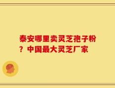 泰安哪里卖灵芝孢子粉？中国最大灵芝厂家