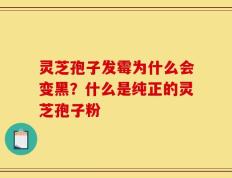灵芝孢子发霉为什么会变黑？什么是纯正的灵芝孢子粉