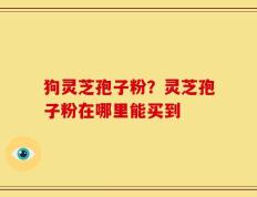 狗灵芝孢子粉？灵芝孢子粉在哪里能买到