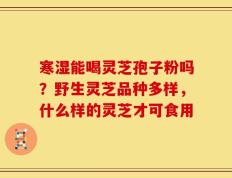 寒湿能喝灵芝孢子粉吗？野生灵芝品种多样，什么样的灵芝才可食用