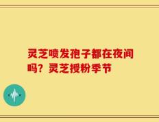 灵芝喷发孢子都在夜间吗？灵芝授粉季节