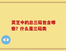 灵芝中的总三萜包含哪些？什么是三萜类