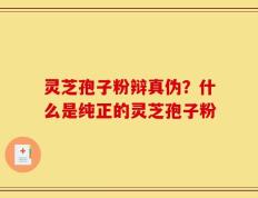 灵芝孢子粉辩真伪？什么是纯正的灵芝孢子粉
