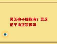 灵芝孢子提取液？灵芝孢子油正宗做法