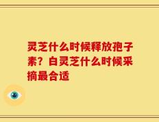 灵芝什么时候释放孢子素？白灵芝什么时候采摘最合适
