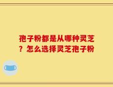 孢子粉都是从哪种灵芝？怎么选择灵芝孢子粉