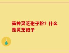茹神灵芝孢子粉？什么是灵芝孢子