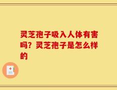 灵芝孢子吸入人体有害吗？灵芝孢子是怎么样的