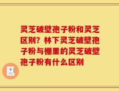 灵芝破壁孢子粉和灵芝区别？林下灵芝破壁孢子粉与棚里的灵芝破壁孢子粉有什么区别