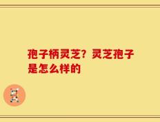 孢子柄灵芝？灵芝孢子是怎么样的