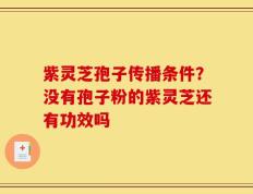 紫灵芝孢子传播条件？没有孢子粉的紫灵芝还有功效吗