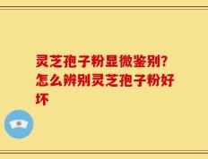 灵芝孢子粉显微鉴别？怎么辨别灵芝孢子粉好坏