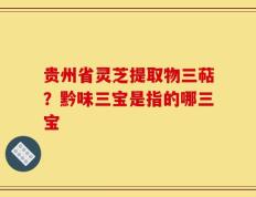 贵州省灵芝提取物三萜？黔味三宝是指的哪三宝