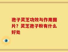 孢子灵芝功效与作用图片？灵芝孢子粉有什么好处