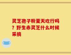 灵芝孢子粉夏天吃行吗？野生赤灵芝什么时候采摘