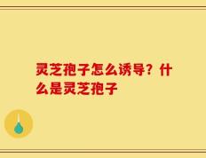 灵芝孢子怎么诱导？什么是灵芝孢子