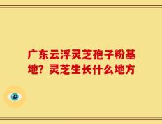 广东云浮灵芝孢子粉基地？灵芝生长什么地方