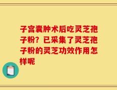 子宫囊肿术后吃灵芝孢子粉？已采集了灵芝孢子粉的灵芝功效作用怎样呢