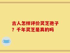 古人怎样评价灵芝孢子？千年灵芝是真的吗