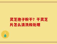 灵芝孢子粉干？干灵芝片怎么清洗和处理