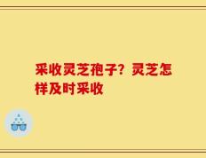 采收灵芝孢子？灵芝怎样及时采收