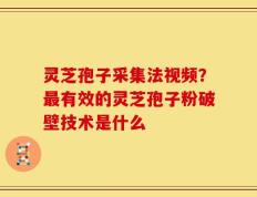 灵芝孢子采集法视频？最有效的灵芝孢子粉破壁技术是什么