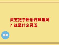 灵芝孢子粉治疗风湿吗？这是什么灵芝