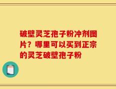 破壁灵芝孢子粉冲剂图片？哪里可以买到正宗的灵芝破壁孢子粉