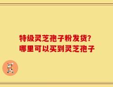 特级灵芝孢子粉发货？哪里可以买到灵芝孢子