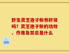 野生灵芝孢子粉养肝肾吗？灵芝孢子粉的功效、作用及禁忌是什么