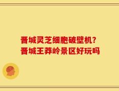 晋城灵芝细胞破壁机？晋城王莽岭景区好玩吗