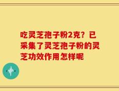 吃灵芝孢子粉2克？已采集了灵芝孢子粉的灵芝功效作用怎样呢