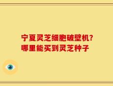 宁夏灵芝细胞破壁机？哪里能买到灵芝种子