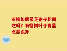 石榴能跟灵芝孢子粉同吃吗？石榴树叶子有黑点怎么办