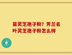 苗灵芝孢子粉？芳兰名叶灵芝孢子粉怎么样