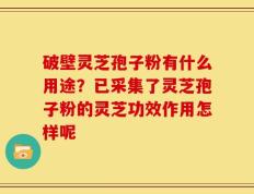 破壁灵芝孢子粉有什么用途？已采集了灵芝孢子粉的灵芝功效作用怎样呢