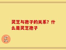 灵芝与孢子的关系？什么是灵芝孢子