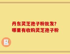 丹东灵芝孢子粉批发？哪里有收购灵芝孢子粉