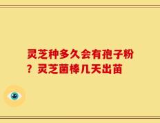 灵芝种多久会有孢子粉？灵芝菌棒几天出苗