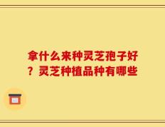 拿什么来种灵芝孢子好？灵芝种植品种有哪些